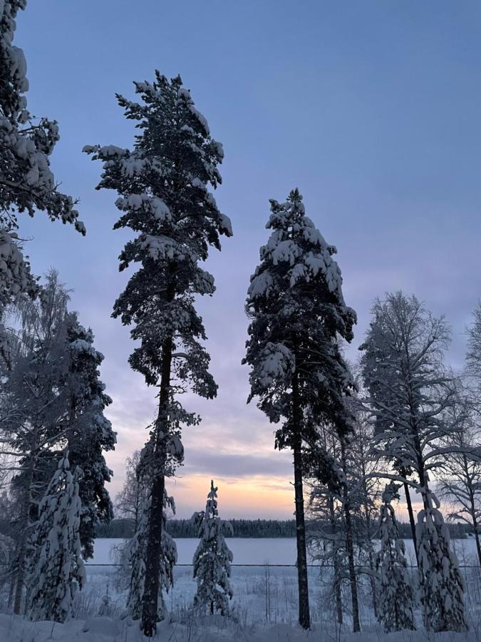 Koivu Rieskapaikkaヴィラ エクステリア 写真