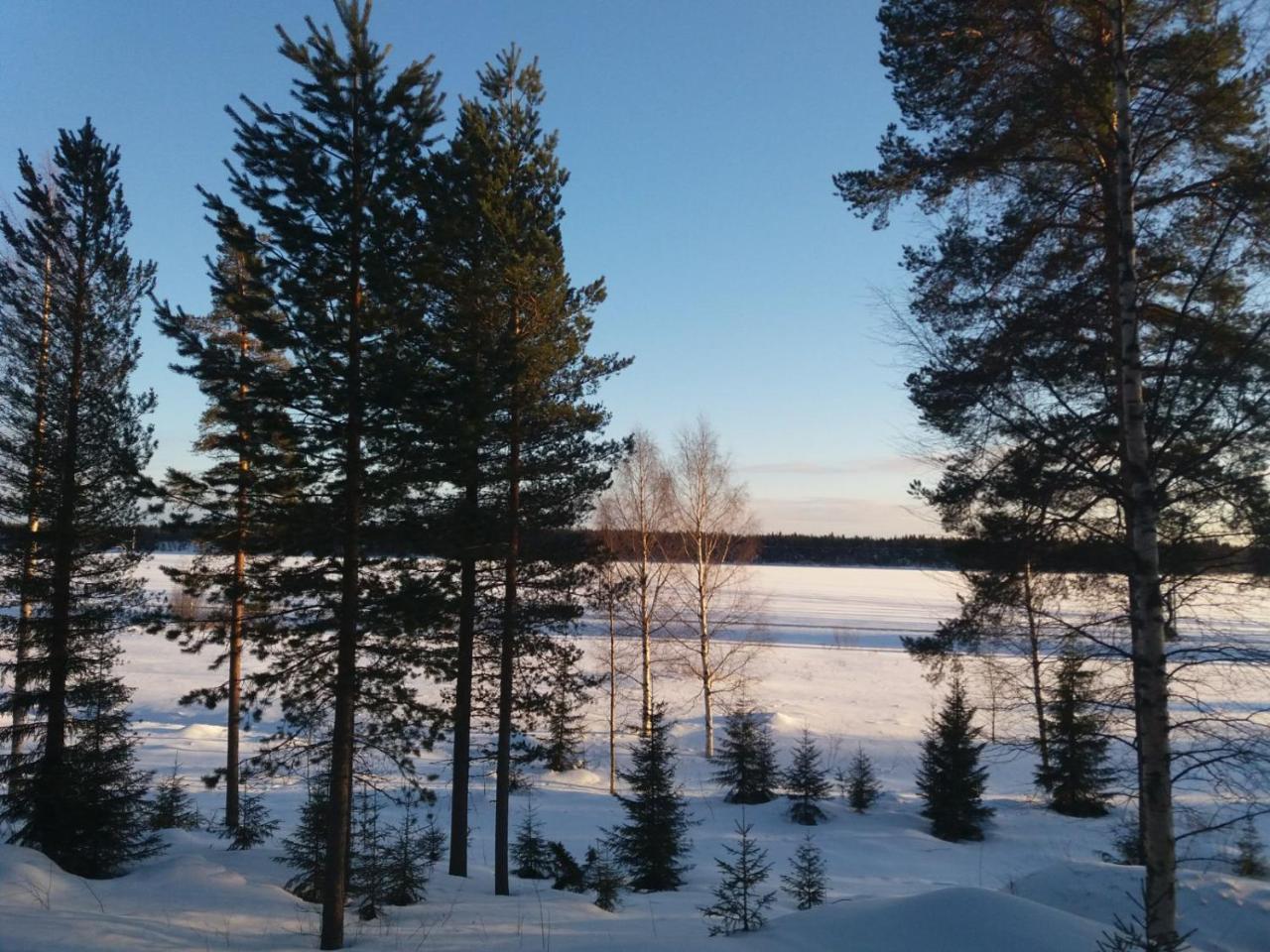 Koivu Rieskapaikkaヴィラ エクステリア 写真